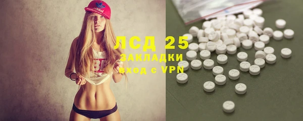 прущие грибы Алексеевка