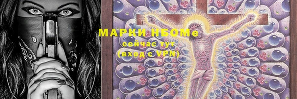 прущие грибы Алексеевка