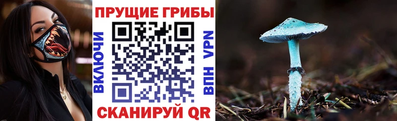 Псилоцибиновые грибы Psilocybine cubensis  Туймазы 